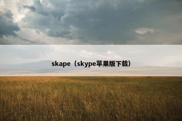 skape（skype苹果版下载）