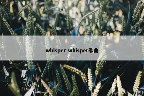 whisper whisper歌曲